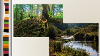 Тракийско – Странджанска област