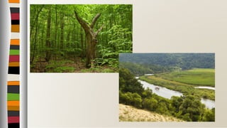 Тракийско – Странджанска област