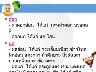 ดอก
- ตาดอกอ่อน  ได้แก่  กะหลำ่าดอก บรอคอ
ลี
- ดอกแก่ ได้แก่ แค โสน
ผล
- ผลอ่อน  ได้แก่ กระเจี๊ยบเขียว ข้าวโพด
ฝักอ่อน แตงกวา ถั่วฝักยาว ถั่วลันเตา
บวบเหลี่ยม มะเขือ มะระ
- ผลแก่  ได้แก่ ตระกูลแตง เช่น แตงเทศ
 