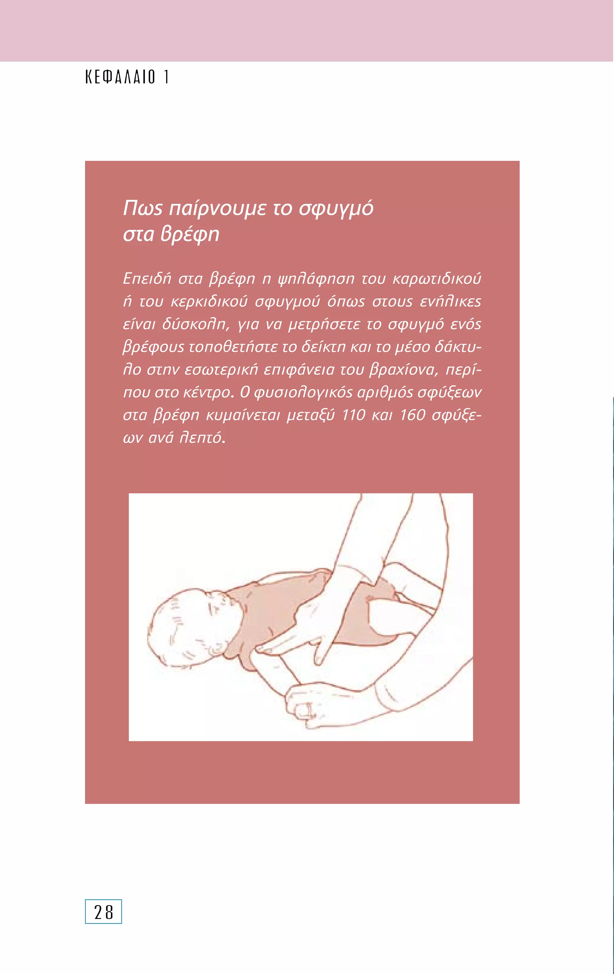 28
Πως παίρνουμε το σφυγμό
στα βρέφη
Επειδή στα βρέφη η ψηλάφηση του καρωτιδικού
ή του κερκιδικού σφυγµού όπως στους ενήλικες
είναι δύσκολη, για να µετρήσετε το σφυγµό ενός
βρέφους τοποθετήστε το δείκτη και το µέσο δάκτυ-
λο στην εσωτερική επιφάνεια του βραχίονα, περί-
που στο κέντρο. Ο φυσιολογικός αριθµός σφύξεων
στα βρέφη κυµαίνεται µεταξύ 110 και 160 σφύξε-
ων ανά λεπτό.
ΚΕΦΑΛΑΙΟ 1
 