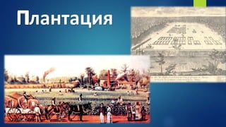 ПлантацияП