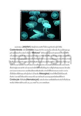 แมงกะพรุน (Jellyfish) จัดอยู่ในประเภทสัตว์ไม่มีกระดูกสันหลัง อยู่ในไฟลัม
Coelenterate หรือ Cnidalia ลักษณะลำตัวใส และอ่อนนิ่ม เหมือนวุ้น ด้ำนบนมีลักษณะนูน
รูปร่ำงคล้ำยร่มหรือระฆังคว่ำ เรียกว่ำ "Medusa" มีเส้นหนวดอยู่รอบบริเวณขอบร่ม สำหรับใช้เป็น
เครื่องสัมผัสและทรงตัว ถัดจำกขอบร่มเข้ำไปตรงกลำงใต้ร่ม จะมีเส้นยำวๆ ลักษณะคล้ำยหนวดปลำหมึก
ห้อยย้อยลง ด้ำนล่ำงทำหน้ำที่คอยล่ำเหยื่อหรือจับเหยื่อใส่ปำก แมงกะพรุนมีระบบประสำท เส้นประสำทต่อ
กันเป็นร่ำงแหตำมลำตัวและหนวด เพื่อรับสัมผัสและตอบสนองต่อสิ่งแวดล้อม แต่ไม่มีสมอง ไม่มีกระดูก
ไม่มีหัวใจ และไม่มีปอด โครงสร้ำงของร่ำงกำยเป็นแบบง่ำยๆ ประกอบด้วยเนื้อเยื่อสองชั้น มำบรรจบกัน
เป็นปำกอยู่ตรงกลำงลำตัว บริเวณรอบปำกมีส่วนที่ห้อยยื่นเป็นพู จำนวนสี่พูในลักษณะสมมำตร มีทำงเดิน
อำหำรและกระเพำะอำหำร และมีช่องเปิดออกเพียงช่องเดียว ทำหน้ำที่เป็นปำกและทวำรหนัก ระหว่ำง
เนื้อเยื่อมีสำรที่มีลักษณะคล้ำยวุ้นเรียกว่ำ มีโซเกลีย (Mesoglea) ทำหน้ำที่ยึดเนื้อเยื่อทั้งสองเข้ำ
ด้วยกัน ร่ำงกำยมีน้ำเป็นองค์ประกอบมำกถึง ๙๕ เปอร์เซนต์แมงกะพรุนทุกชนิดมีเซลล์ที่เรียกว่ำ
Cnidocyte ที่มีเข็มพิษ(Nematocyst) แต่จะมีระดับควำมเข้มพิษที่แตกต่ำงกันไป ซึ่งปริมำณ
ของนีมำโตซีสอำจมีจำนวนถึง ๘๐,๐๐๐ เซลล์ ใน ๑ ตำรำงเซนติเมตร
Jellyfsih
 