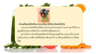 - ผักผลไม้แช่แข็งหรือบรรจุกระป๋ อง ยังมีประโยชน์หรือไม่
กระบวนการผลิตที่มีประสิทธิภาพสามารถรักษาคุณค่าทางอาหารเอาไว้ได้ อาจ
สูญเสียวิตามินบางชนิดไปบ้าง แต่ไม่ถึงกับเสื่อมคุณภาพ
อย่างไรก็ตาม ผักผลไม้แช่แข็งต้องเก็บไว้ในอุณหภูมิที่เหมาะสมเท่านั้น ส่วนผัก
ผลไม้กระป๋ อง ควรเลือกชนิดที่ไม่เติมเกลือและน้าตาล หรือแต่งเติมสิ่งต่างๆ ให้น้อย
ที่สุด
 