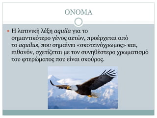 ΟΝΟΜΑ
 Η λατινική λέξη aquila για το
σημαντικότερο γένος αετών, προέρχεται από
το aquilus, που σημαίνει «σκοτεινόχρωμος» και,
πιθανόν, σχετίζεται με τον συνηθέστερο χρωματισμό
του φτερώματος που είναι σκούρος.
 