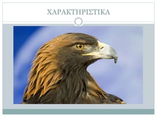 ΧΑΡΑΚΤΗΡΙΣΤΙΚΑ
 