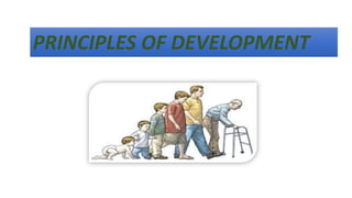 PRINCIPLES OF DEVELOPMENT: An Exclusive Presentation | PDF