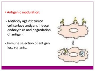Metastatic cascade and Epithelial Mesenchymal Transition | PPTX