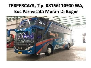 Limas Executive: Raja Jalan Raya yang Menghadirkan Kenyamanan Ekstra dalam Perjalanan Pariwisata