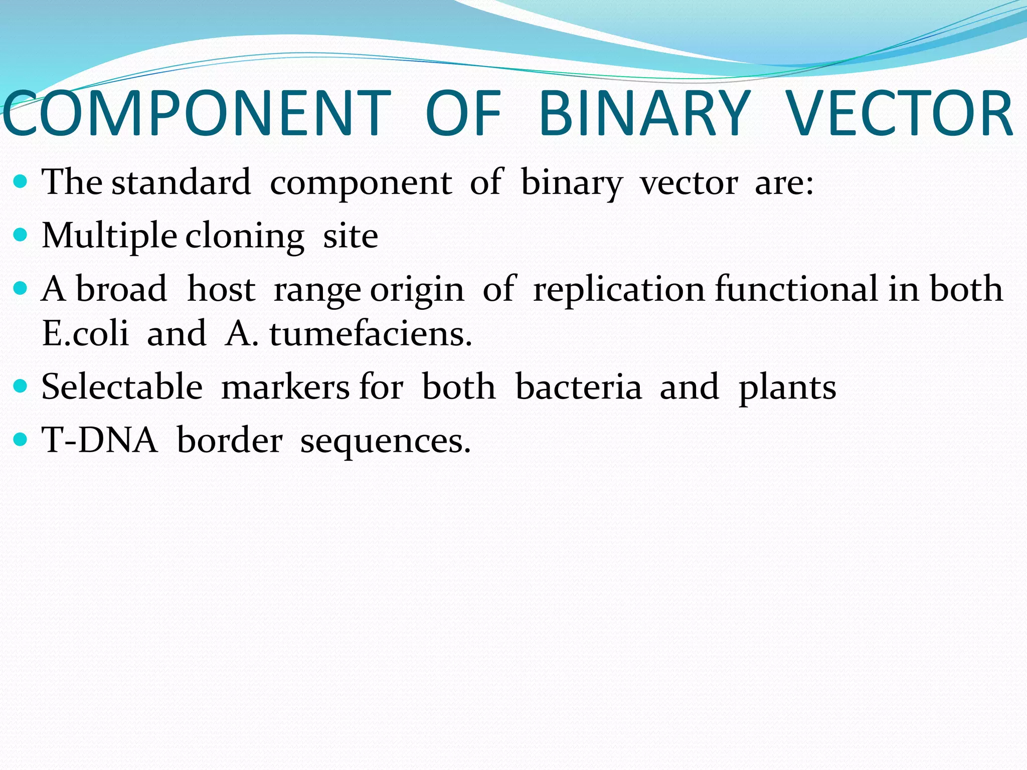 COMPONENT OF BINARY VECTOR
 The standard component of binary vector are:
 Multiple cloning site
 A broad host range origin of replication functional in both
E.coli and A. tumefaciens.
 Selectable markers for both bacteria and plants
 T-DNA border sequences.
 