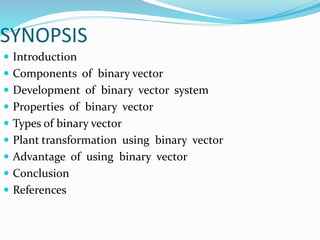 SYNOPSIS
 Introduction
 Components of binary vector
 Development of binary vector system
 Properties of binary vector
 Types of binary vector
 Plant transformation using binary vector
 Advantage of using binary vector
 Conclusion
 References
 