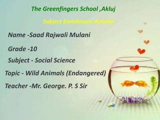 The Greenfingers School ,Akluj
Subject Enrichment Activity
Name -Saad Rajwali Mulani
Grade -10
Subject - Social Science
Topic - Wild Animals (Endangered)
Teacher -Mr. George. P. S Sir
 