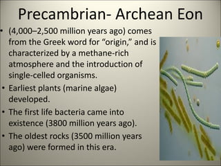 SS-Geologic Time Scale-EON, ERA,PERIOD,EPOCH | PDF