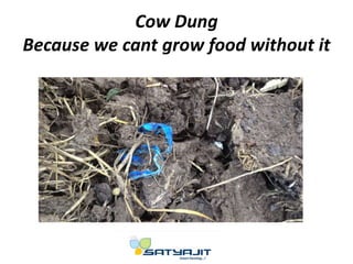 Cow Dung
Because we cant grow food without it
 