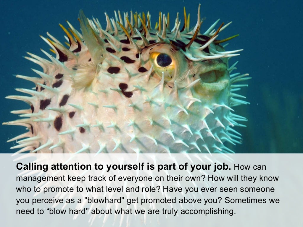 Calling Attention To Yourself Is