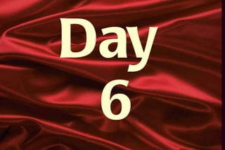 Day  6 