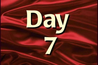 Day  7 