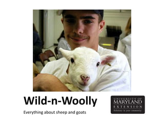 Wild-n-Woolly Everything about sheep and goats 