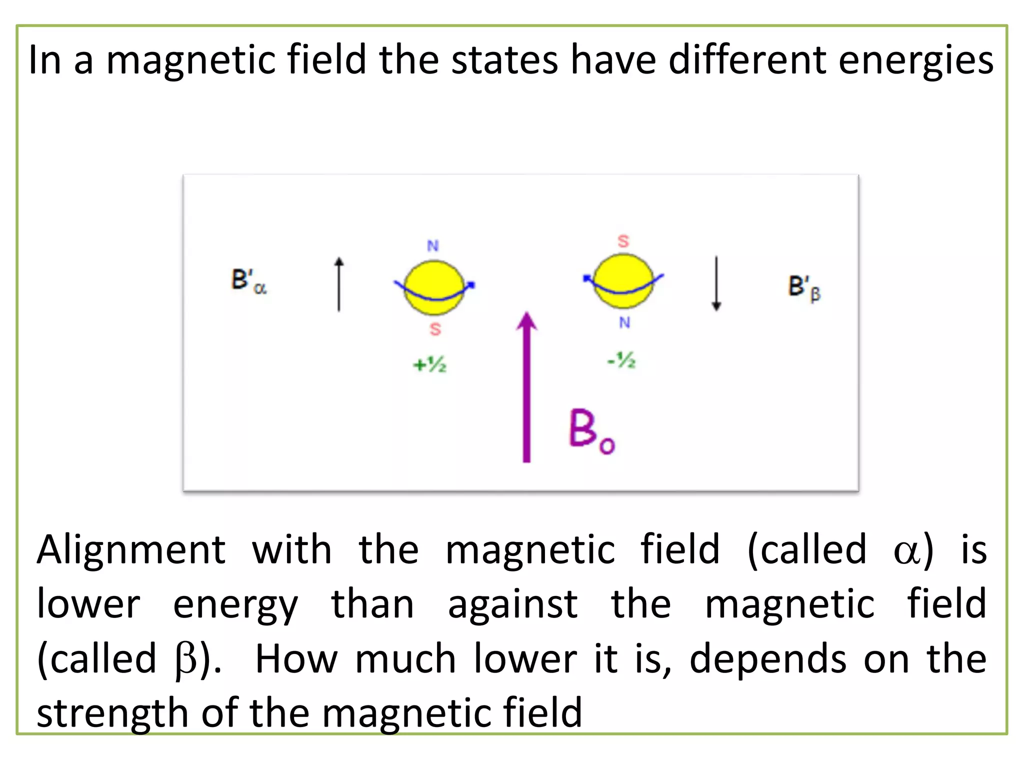 In a magnetic field the states have different energies 
Alignment with the magnetic field (called ) is 
lower energy than against the magnetic field 
(called ). How much lower it is, depends on the 
strength of the magnetic field 
 