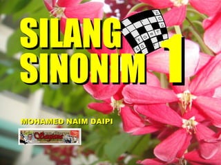 SILANG SINONIM MOHAMED NAIM DAIPI 1 