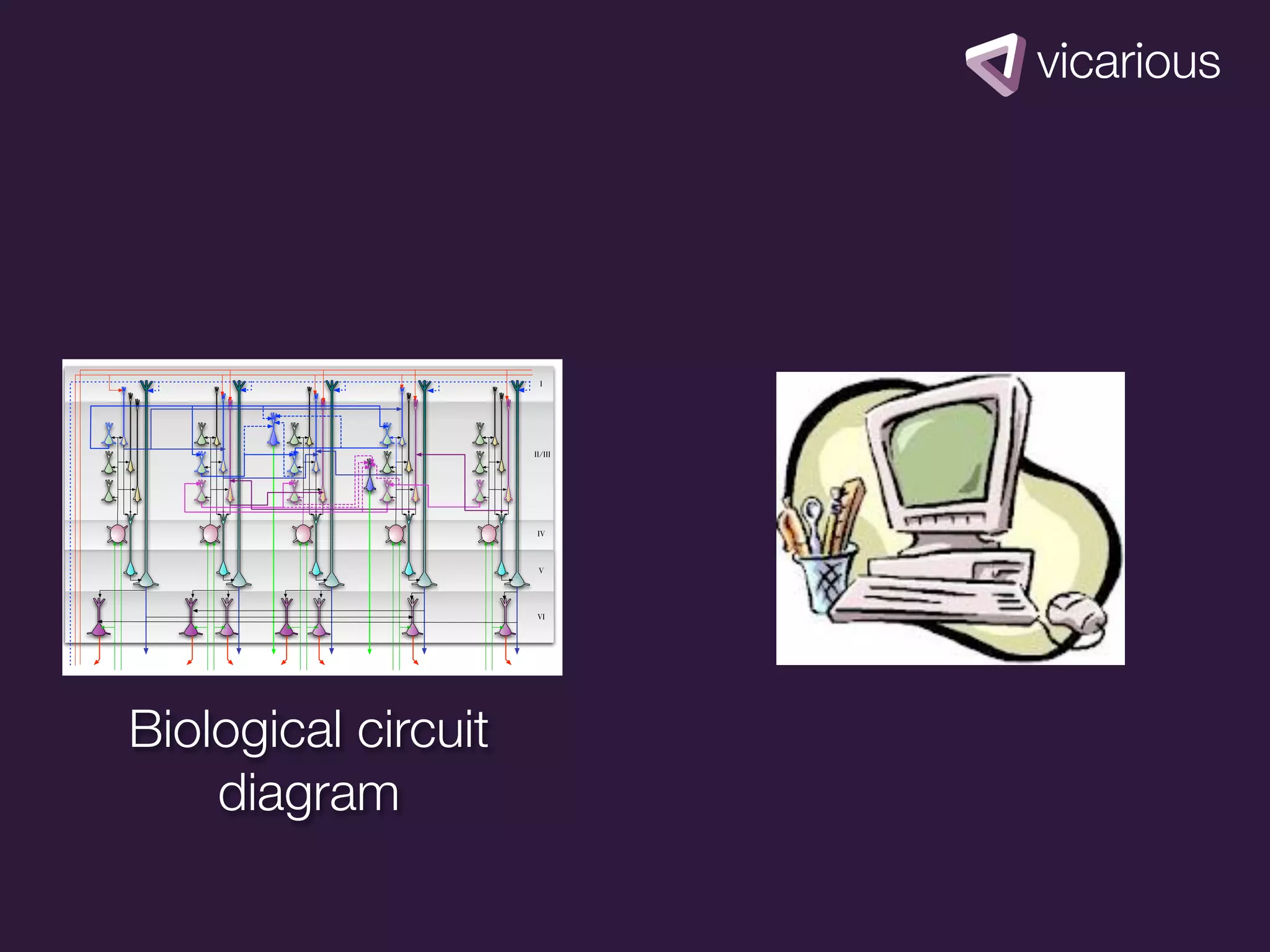 I




                     II/III




                      IV



                      V




                      VI




Biological circuit
    diagram
 