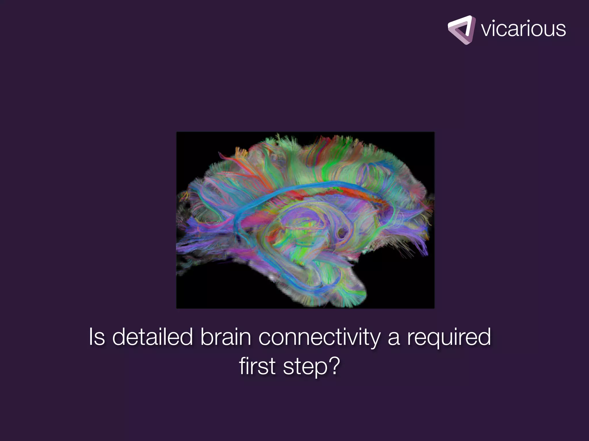 Is detailed brain connectivity a required
                ﬁrst step?
 