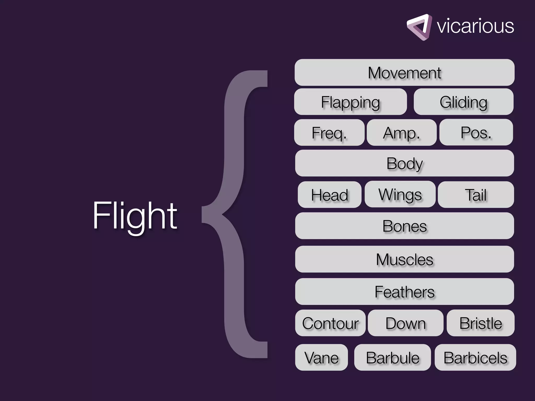 {
                   Movement
           Flapping            Gliding
          Freq.       Amp.        Pos.
                      Body
          Head      Wings         Tail
Flight                Bones

                    Muscles

                    Feathers
         Contour      Down       Bristle

         Vane      Barbule     Barbicels
 