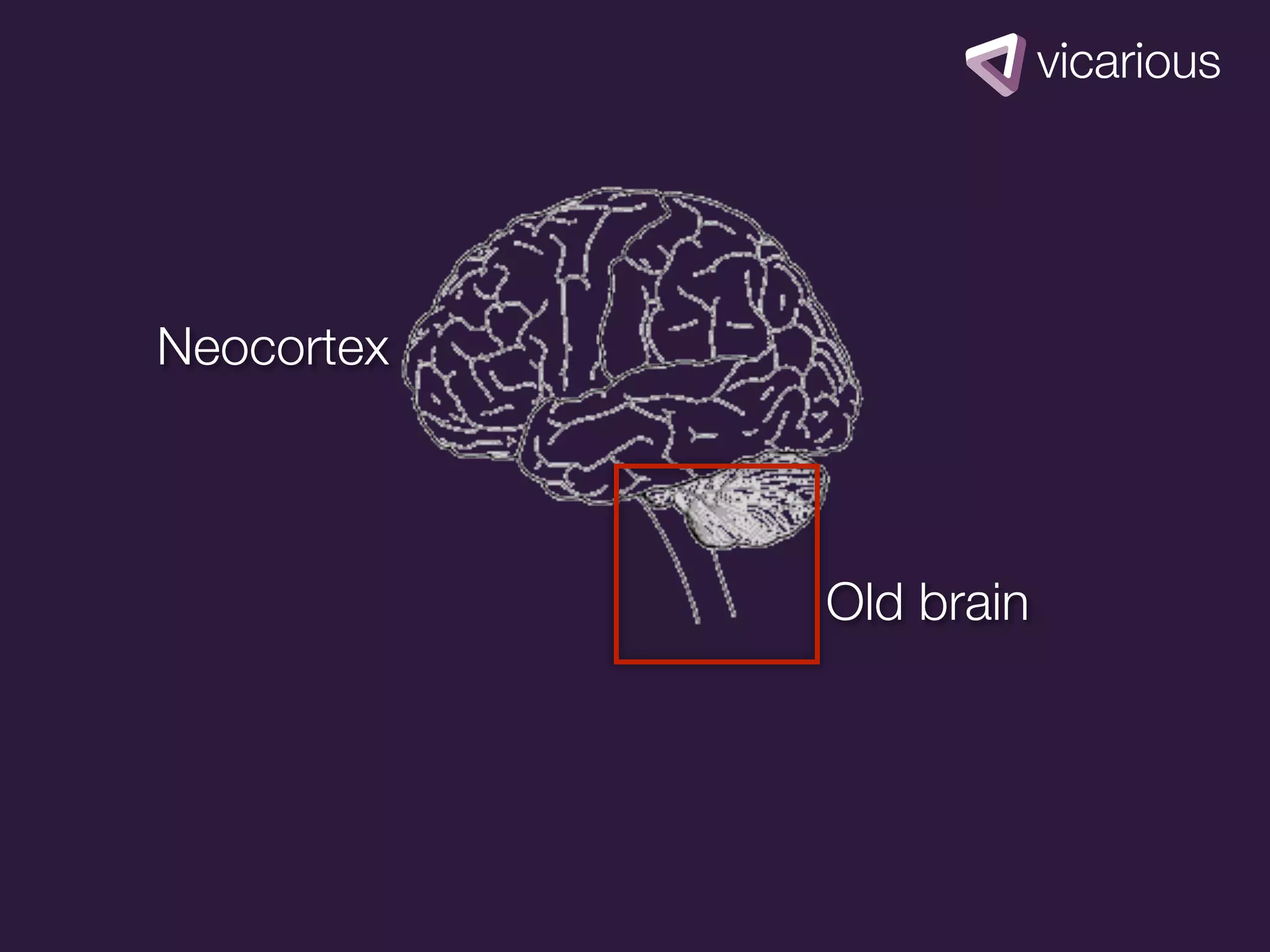 Neocortex



            Old brain
 