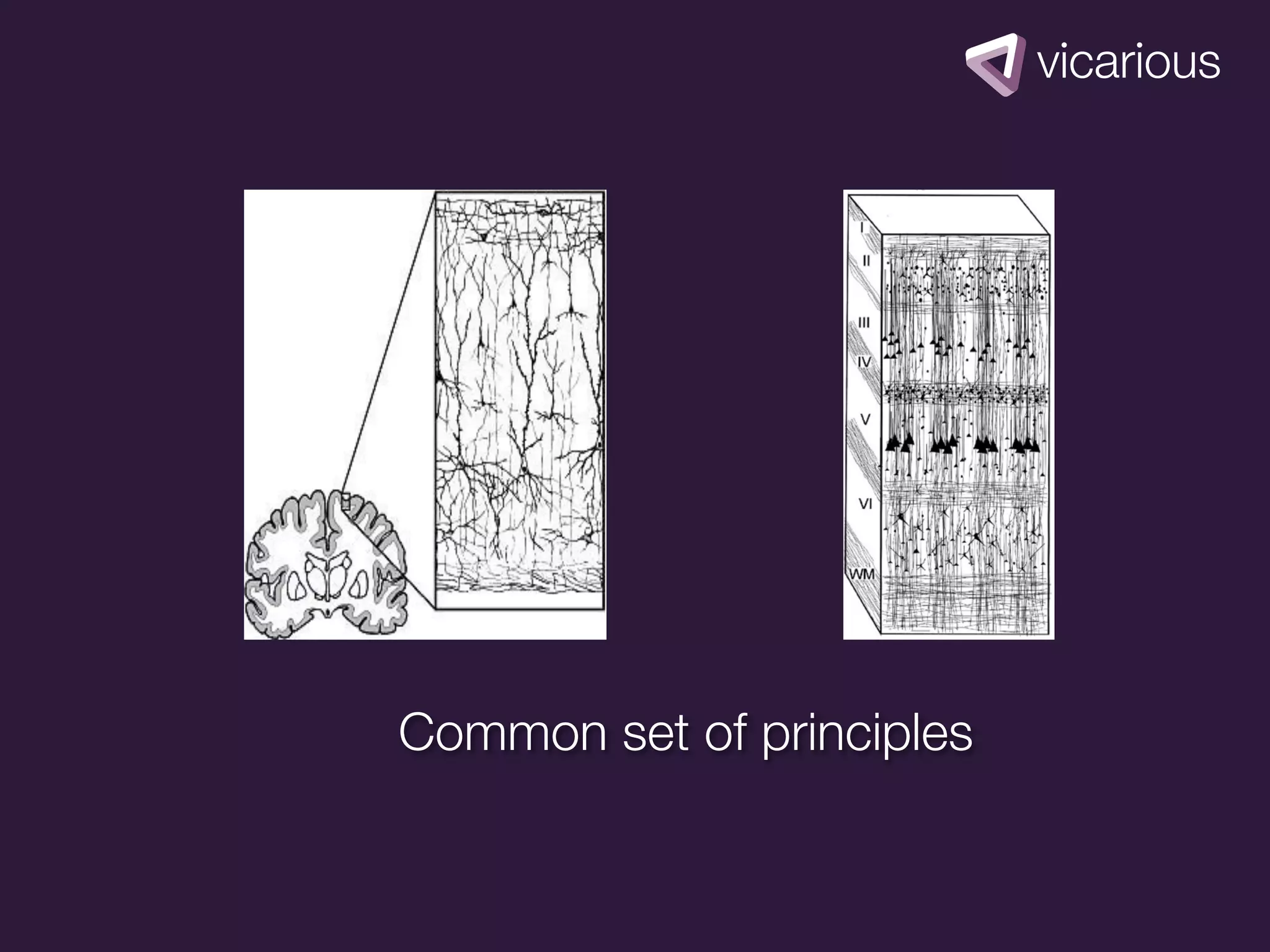 Common set of principles
 