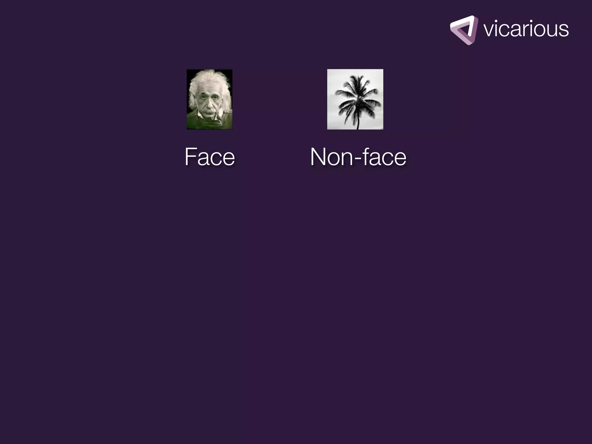 Face   Non-face
 