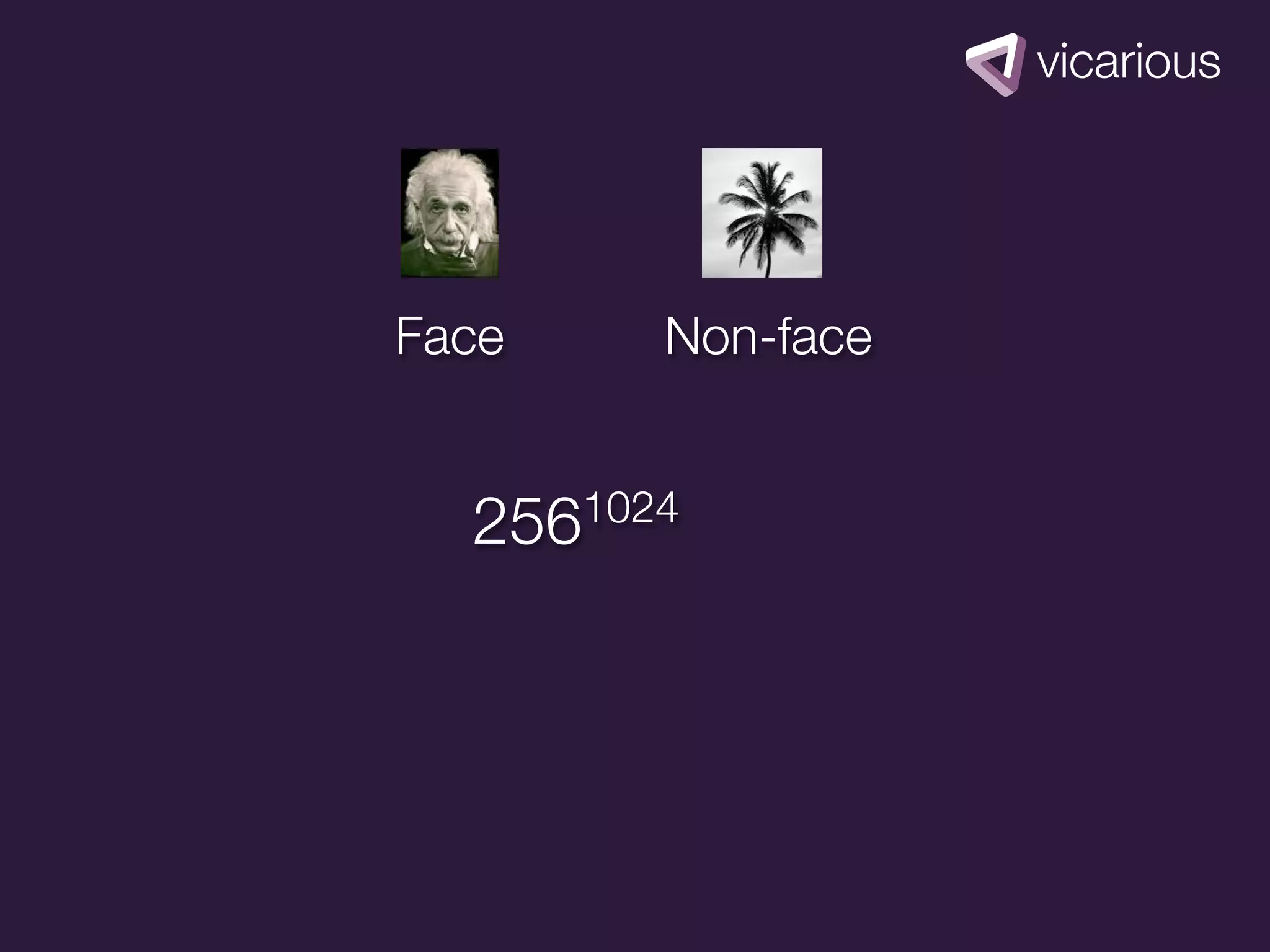 Face     Non-face


  256 1024
 