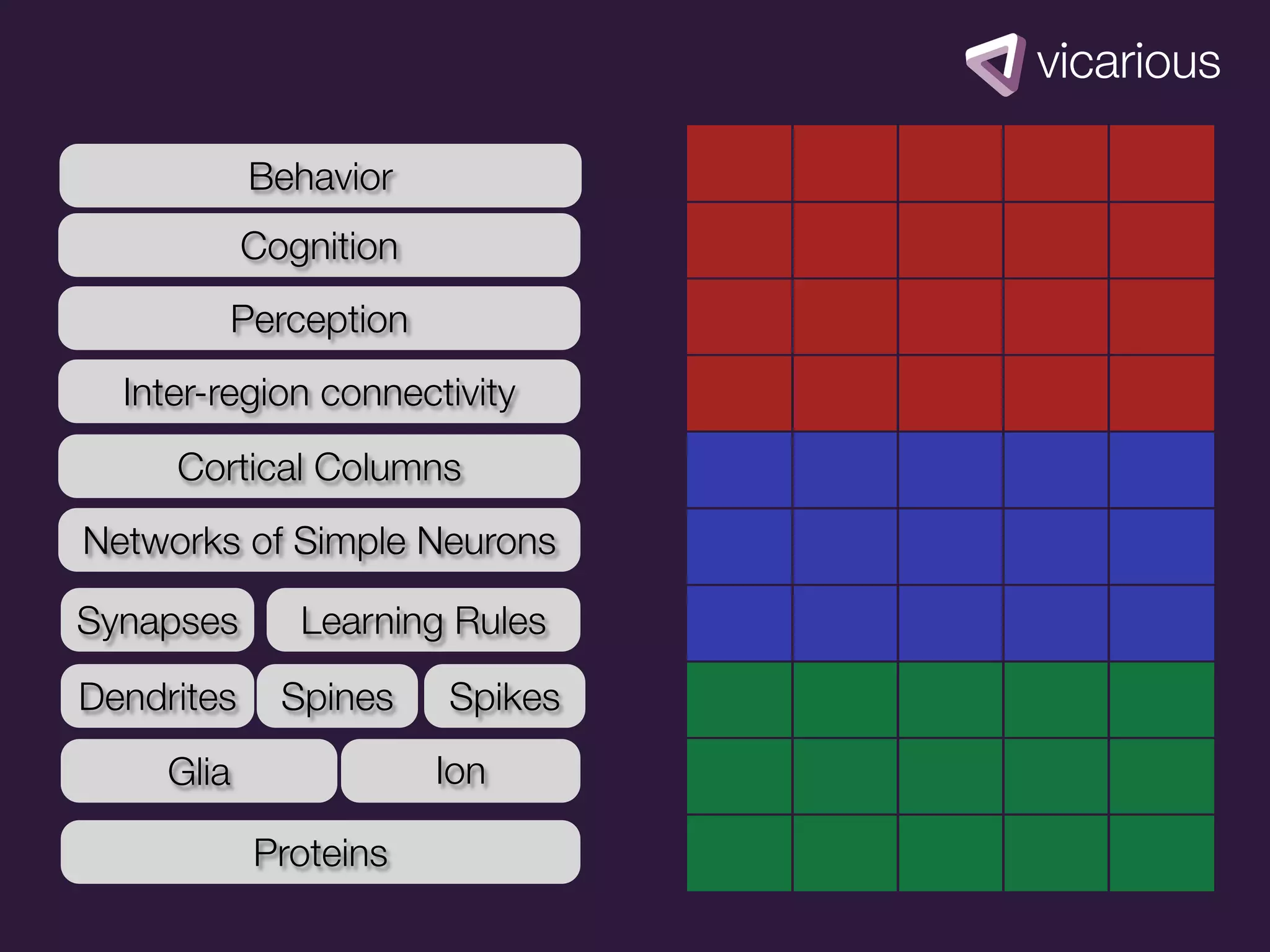 Behavior
            Cognition
        Perception
  Inter-region connectivity
     Cortical Columns
Networks of Simple Neurons

Synapses       Learning Rules
Dendrites     Spines    Spikes
     Glia               Ion

            Proteins
 