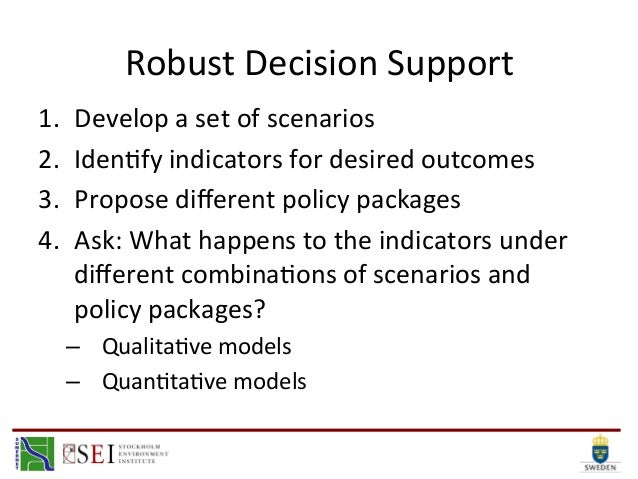 What Is Robust Decision Support