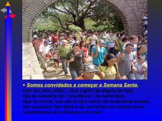 + Somos convidados a começar a Semana Santa,
com um novo ardor... Que o grito de alegria de hoje,
não se converta em "crucifica-o", na sexta feira.
Que os ramos, que são brotos novos de propósitos santos,
não murchem nas mãos e se convertam em ramos secos.
Caminhemos até a Páscoa com amor.
 