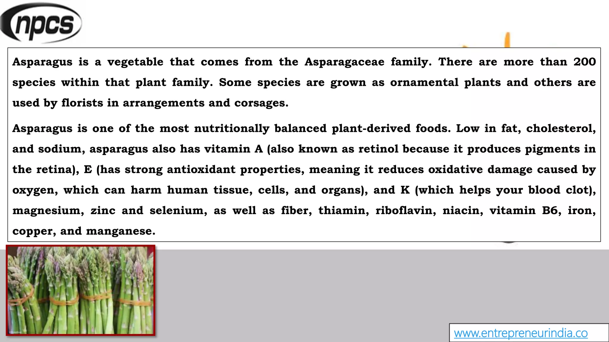 www.entrepreneurindia.co
Asparagus is a vegetable that comes from the Asparagaceae family. There are more than 200
species within that plant family. Some species are grown as ornamental plants and others are
used by florists in arrangements and corsages.
Asparagus is one of the most nutritionally balanced plant-derived foods. Low in fat, cholesterol,
and sodium, asparagus also has vitamin A (also known as retinol because it produces pigments in
the retina), E (has strong antioxidant properties, meaning it reduces oxidative damage caused by
oxygen, which can harm human tissue, cells, and organs), and K (which helps your blood clot),
magnesium, zinc and selenium, as well as fiber, thiamin, riboflavin, niacin, vitamin B6, iron,
copper, and manganese.
 