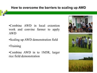 Applying AWD in Vietnam | PDF