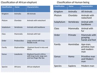 SS1 BIOLOGY 2ND TERM NOTE (1-5) 20242025.pptx