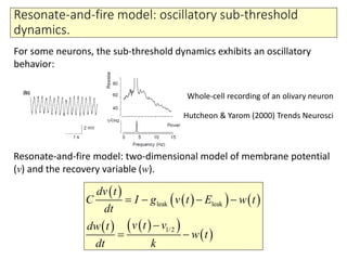 Resonate-and-fire model: oscillatory sub-threshold
dynamics.
( )
( )( ) ( )
( ) ( )( )
( )
leak leak
1/2
dv t
C I g v t E w t
dt
v t vdw t
w t
dt k
=− − −
−
= −
For some neurons, the sub-threshold dynamics exhibits an oscillatory
behavior:
Resonate-and-fire model: two-dimensional model of membrane potential
(v) and the recovery variable (w).
Whole-cell recording of an olivary neuron
Hutcheon & Yarom (2000) Trends Neurosci
 