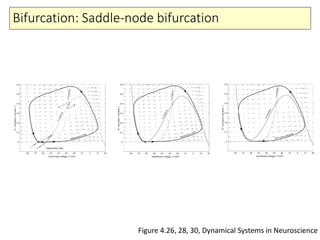 Bifurcation: Saddle-node bifurcation
Figure 4.26, 28, 30, Dynamical Systems in Neuroscience
 