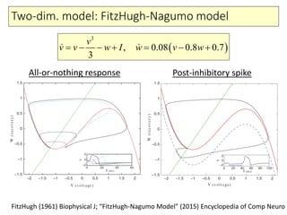 Two-dim. model: FitzHugh-Nagumo model
( )
3
, 0.08 0.8 0.7
3
v
v v w I w v w= − − + = − + 
FitzHugh (1961) Biophysical J; “FitzHugh-Nagumo Model” (2015) Encyclopedia of Comp Neuro
All-or-nothing response Post-inhibitory spike
 