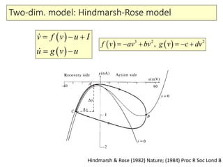 Two-dim. model: Hindmarsh-Rose model
( )
( )
v f v u I
u g v u
= − +
= −


( ) ( )3 2 2
,f v av bv g v c dv=− + =− +
Hindmarsh & Rose (1982) Nature; (1984) Proc R Soc Lond B
 