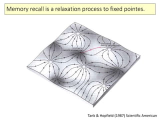 Memory recall is a relaxation process to fixed pointes.
Tank & Hopfield (1987) Scientific American
 