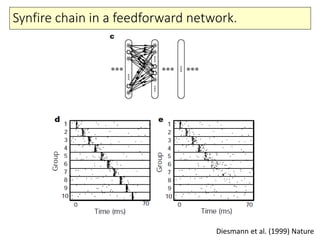 Synfire chain in a feedforward network.
Diesmann et al. (1999) Nature
 
