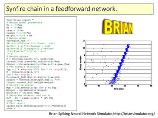 Synfire chain in a feedforward network.
Brian Spiking Neural Network Simulator,http://briansimulator.org/
 