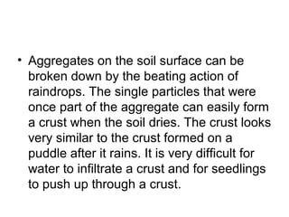• Aggregates on the soil surface can be
broken down by the beating action of
raindrops. The single particles that were
once part of the aggregate can easily form
a crust when the soil dries. The crust looks
very similar to the crust formed on a
puddle after it rains. It is very difficult for
water to infiltrate a crust and for seedlings
to push up through a crust.
 