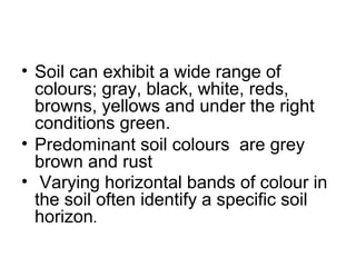 • Soil can exhibit a wide range of
colours; gray, black, white, reds,
browns, yellows and under the right
conditions green.
• Predominant soil colours are grey
brown and rust
• Varying horizontal bands of colour in
the soil often identify a specific soil
horizon.
 