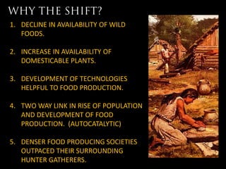 1. DECLINE IN AVAILABILITY OF WILD
   FOODS.

2. INCREASE IN AVAILABILITY OF
   DOMESTICABLE PLANTS.

3. DEVELOPMENT OF TECHNOLOGIES
   HELPFUL TO FOOD PRODUCTION.

4. TWO WAY LINK IN RISE OF POPULATION
   AND DEVELOPMENT OF FOOD
   PRODUCTION. (AUTOCATALYTIC)

5. DENSER FOOD PRODUCING SOCIETIES
   OUTPACED THEIR SURROUNDING
   HUNTER GATHERERS.
 