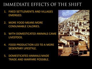 1. FIXED SETTLEMENTS AND VILLAGES
   EMERGED.

2. MORE FOOD MEANS MORE
   CONSUMABLE CALORIES.

3. WITH DOMESTICATED ANIMALS CAME
   LIVESTOCK.

4. FOOD PRODUCTION LED TO A MORE
   SEDENTARY LIFESTYLE.

5. DOMESTICATED ANIMALS MADE
   TRADE AND WARFARE POSSIBLE.
 