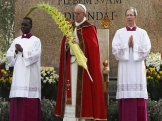 Os Ramos verdes, que hoje carregamos,
recordam a saudação
de acolhida do Povo a Jesus,
ao entrar em Jerusalém.
Nós também queremos saudar a vida que ele trouxe
e a misericórdia que encontramos
em seu bondoso coração.
Pe. Antônio Geraldo Dalla Costa CS
 