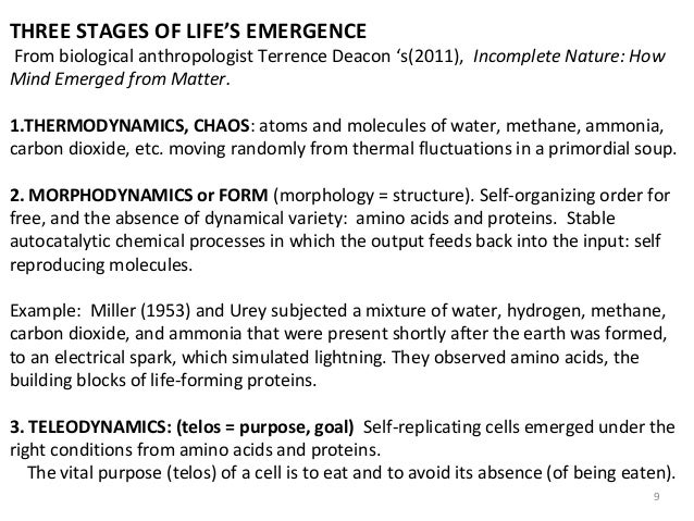 Three Phases of Consciousness