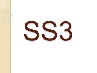 SS3
 